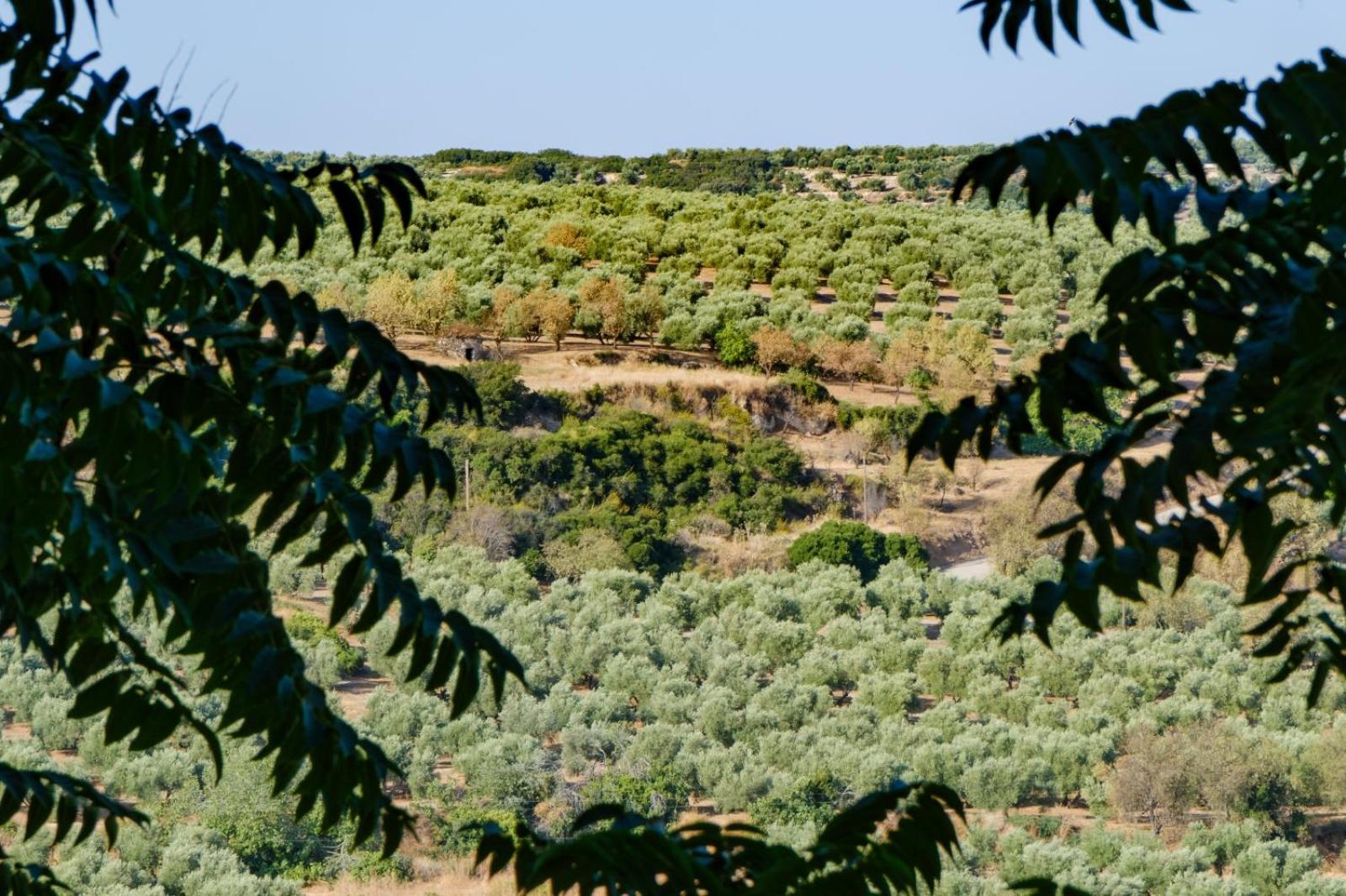 La Alegria De Las Cuevas روس المظهر الخارجي الصورة